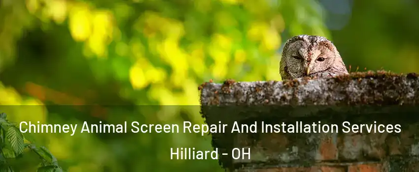  Chimney Animal Screen Repair And Installation Services Hilliard - OH