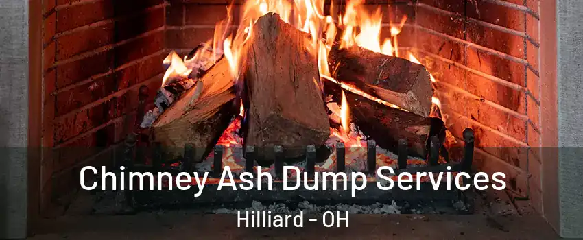  Chimney Ash Dump Services Hilliard - OH