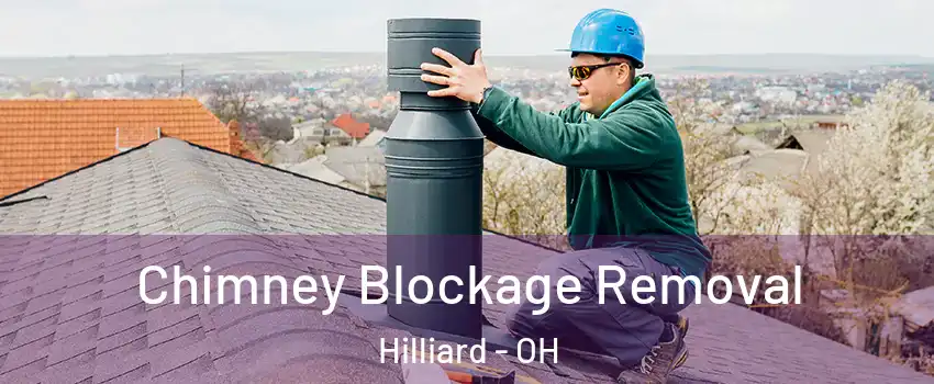 Chimney Blockage Removal Hilliard - OH
