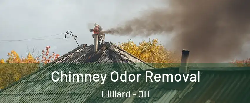  Chimney Odor Removal Hilliard - OH