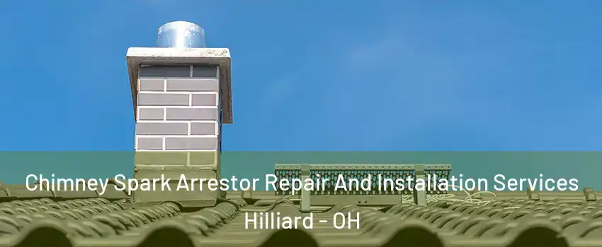  Chimney Spark Arrestor Repair And Installation Services Hilliard - OH