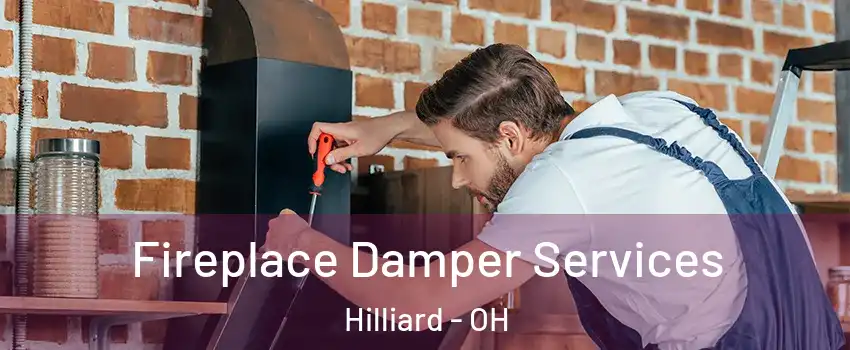  Fireplace Damper Services Hilliard - OH