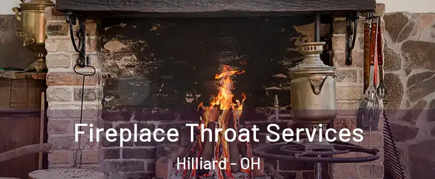 Fireplace Throat Services Hilliard - OH