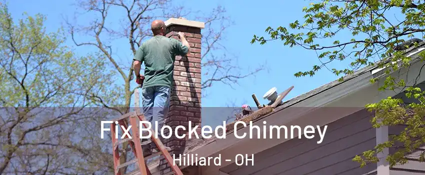  Fix Blocked Chimney Hilliard - OH