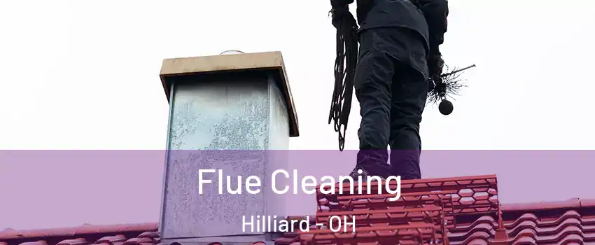  Flue Cleaning Hilliard - OH
