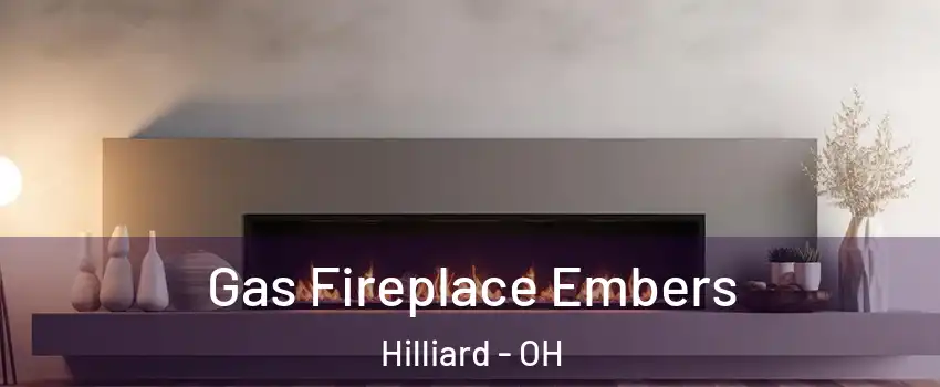  Gas Fireplace Embers Hilliard - OH