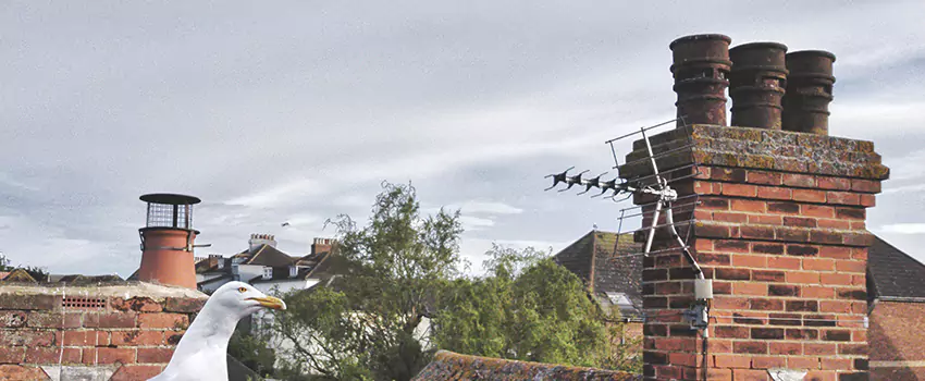 Chimney Cleaning And Restoration in Hilliard, Ohio