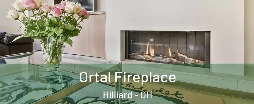 Ortal Fireplace Hilliard - OH